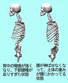 �p���s�ǂ̐}