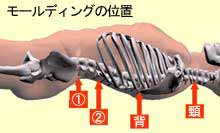 ���[���f�B���O�̈ʒu