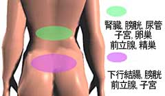 ���������ɂ��ɂ݂̐}