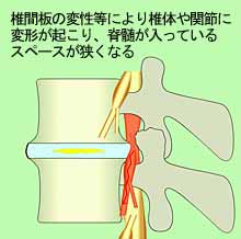 �Ғ��ǋ���̐}